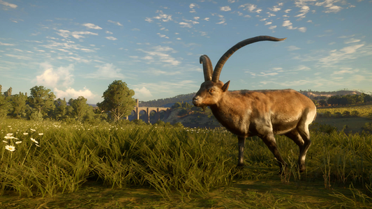 theHunter: Call of the Wild™ - Cuatro Colinas Game Reserve  للبيع في مصر من خلال Games2Egypt