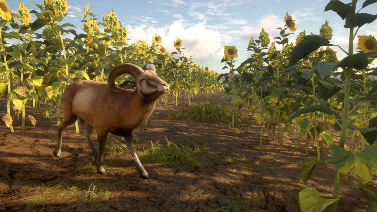 theHunter: Call of the Wild™ - Cuatro Colinas Game Reserve  للبيع في مصر من خلال Games2Egypt