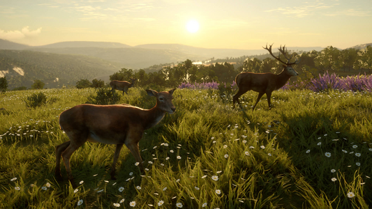 theHunter: Call of the Wild™ - Cuatro Colinas Game Reserve  للبيع في مصر من خلال Games2Egypt