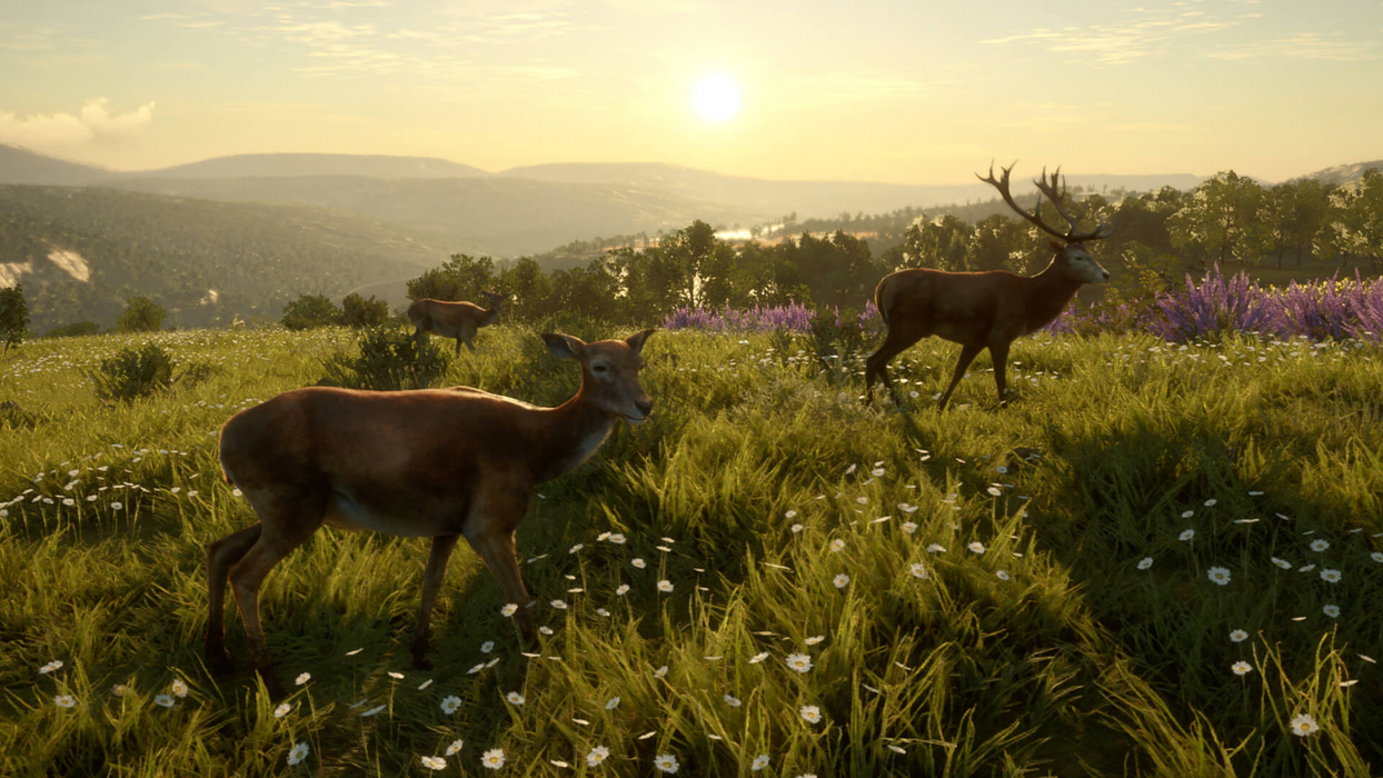 theHunter: Call of the Wild™ - Cuatro Colinas Game Reserve  للبيع في مصر من خلال Games2Egypt