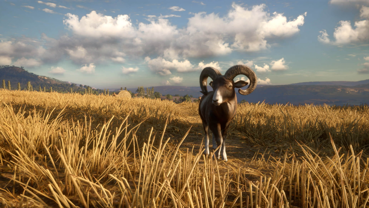theHunter: Call of the Wild™ - Cuatro Colinas Game Reserve  للبيع في مصر من خلال Games2Egypt