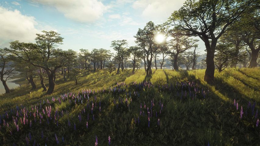 theHunter: Call of the Wild™ - Parque Fernando – image 5