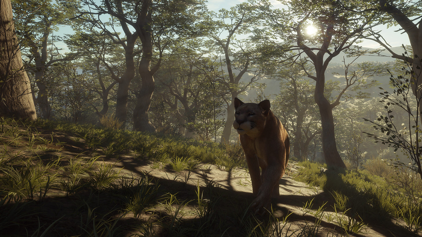 theHunter: Call of the Wild™ - Parque Fernando – image 8
