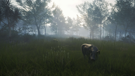 theHunter: Call of the Wild™ - Te Awaroa National Park  للبيع في مصر من خلال Games2Egypt