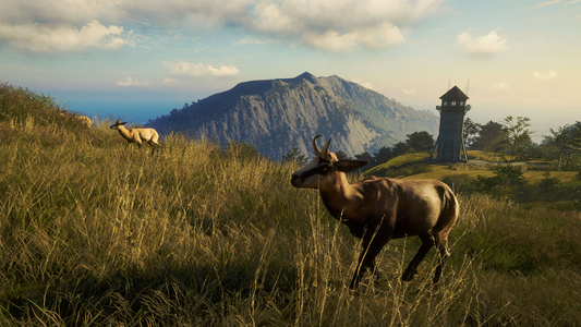 theHunter: Call of the Wild™ - Te Awaroa National Park  للبيع في مصر من خلال Games2Egypt