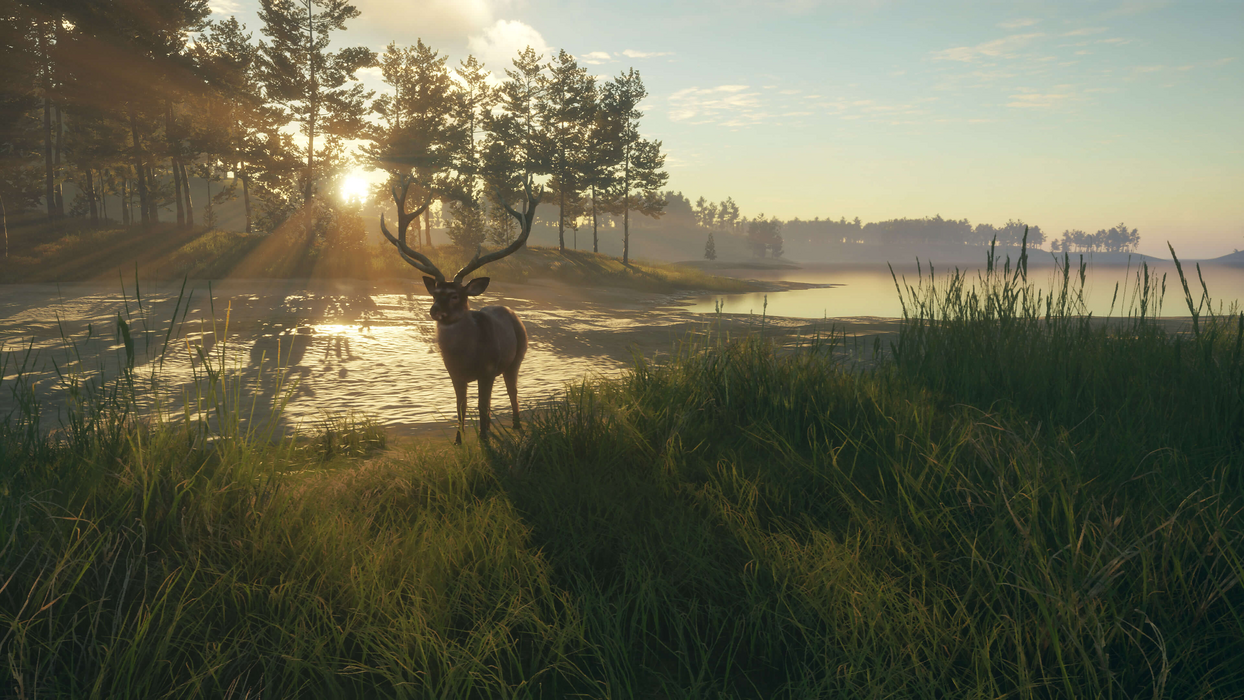theHunter: Call of the Wild™ - Te Awaroa National Park  للبيع في مصر من خلال Games2Egypt