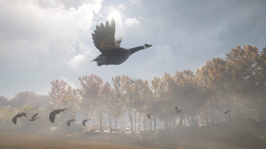 theHunter: Call of the Wild™ - Wild Goose Chase Gear  للبيع في مصر من خلال Games2Egypt
