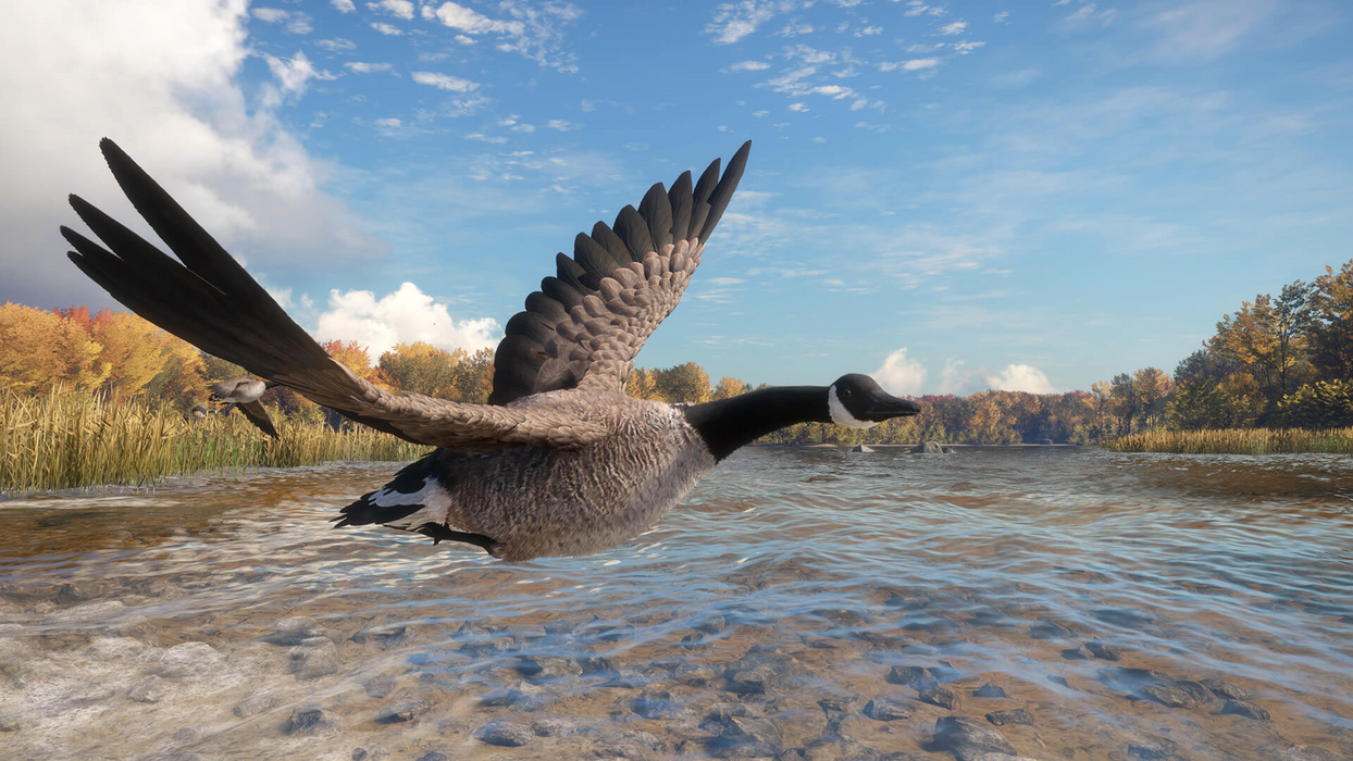 theHunter: Call of the Wild™ - Wild Goose Chase Gear  للبيع في مصر من خلال Games2Egypt
