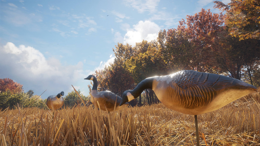 theHunter: Call of the Wild™ - Wild Goose Chase Gear  للبيع في مصر من خلال Games2Egypt