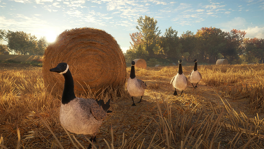 theHunter: Call of the Wild™ - Wild Goose Chase Gear  للبيع في مصر من خلال Games2Egypt