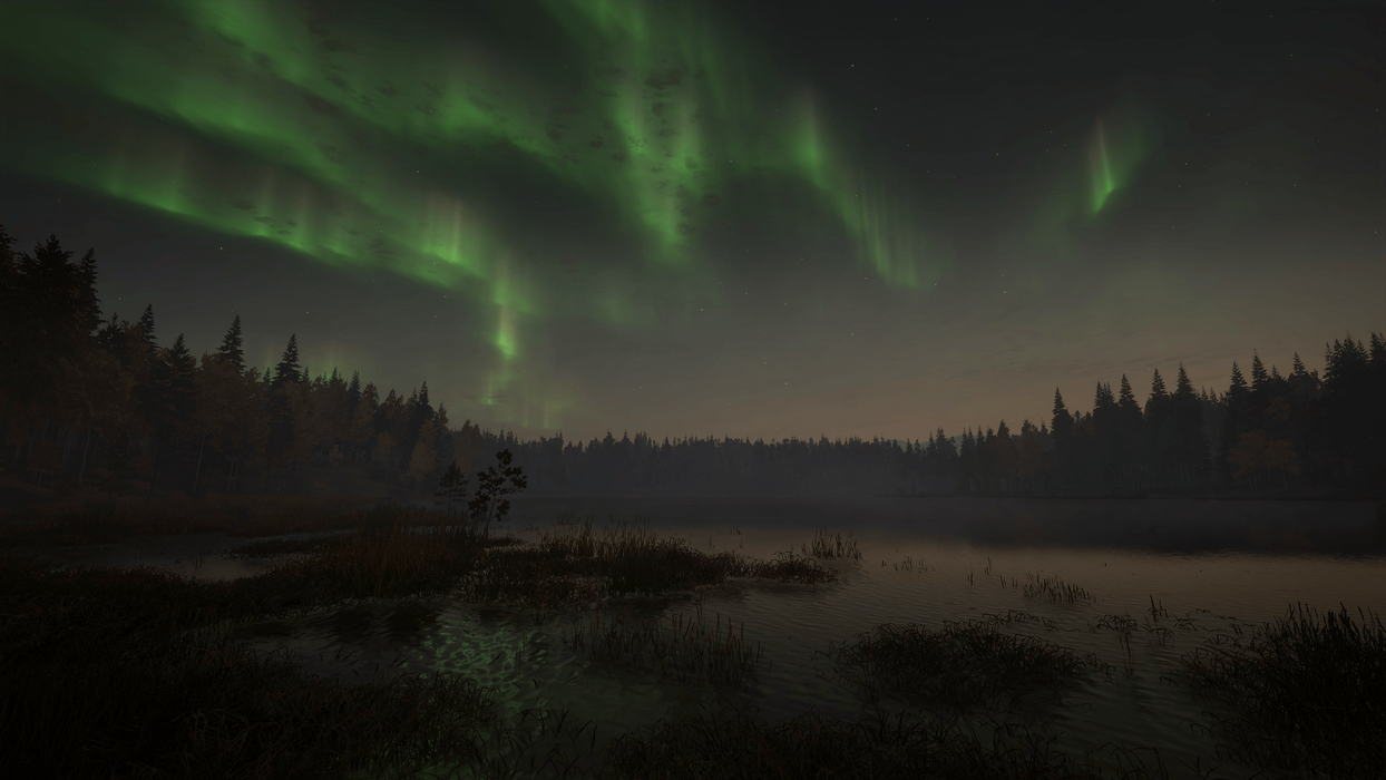 theHunter: Call of the Wild™ - Revontuli Coast  للبيع في مصر من خلال Games2Egypt