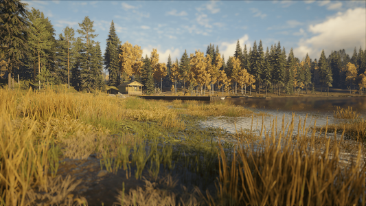 theHunter: Call of the Wild™ - Revontuli Coast  للبيع في مصر من خلال Games2Egypt