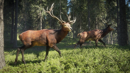 theHunter: Call of the Wild™  للبيع في مصر من خلال Games2Egypt