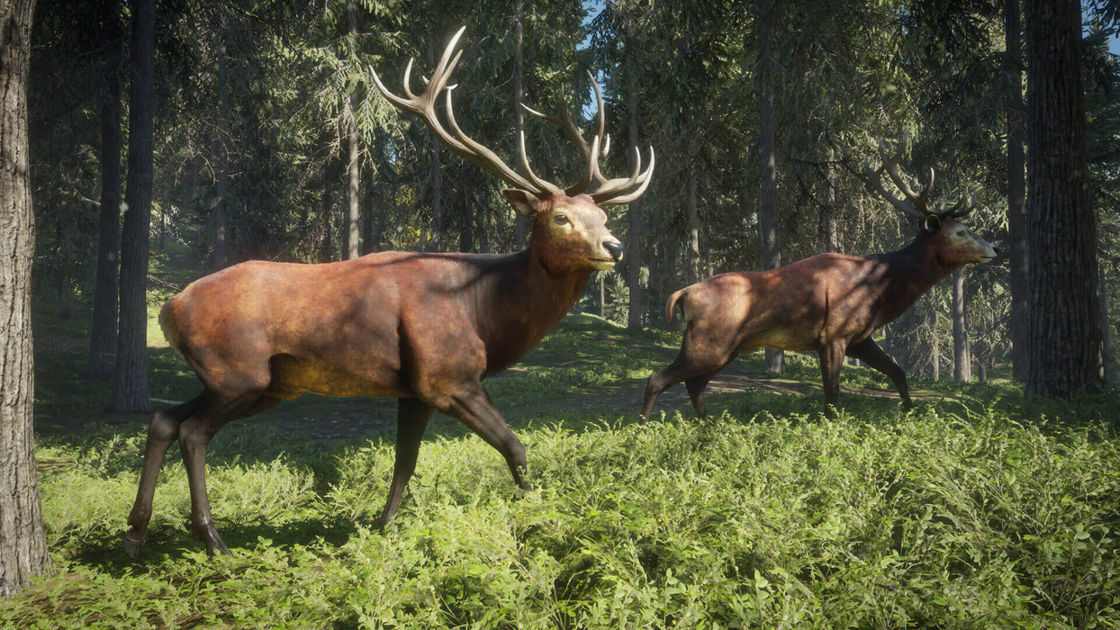 theHunter: Call of the Wild™  للبيع في مصر من خلال Games2Egypt