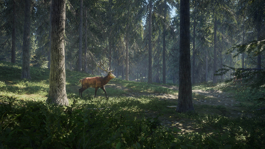 theHunter: Call of the Wild™  للبيع في مصر من خلال Games2Egypt
