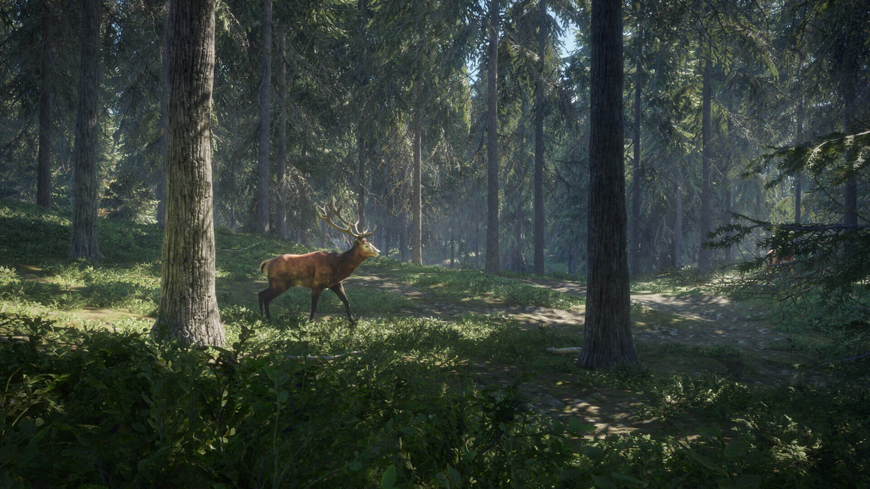 theHunter: Call of the Wild™  للبيع في مصر من خلال Games2Egypt