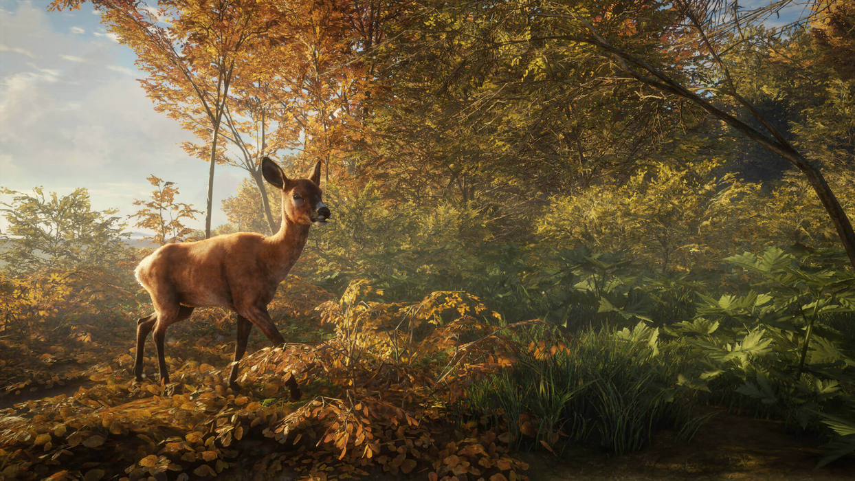 theHunter: Call of the Wild™  للبيع في مصر من خلال Games2Egypt