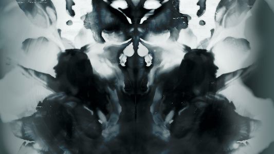 The Signifier Director's Cut  للبيع في مصر من خلال Games2Egypt