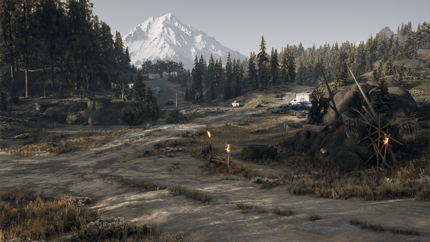 Days Gone – image 3