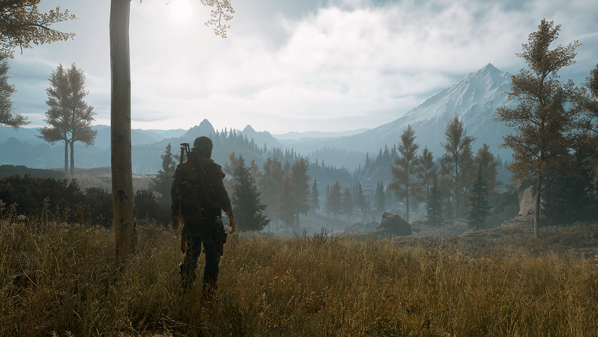Days Gone – image 6