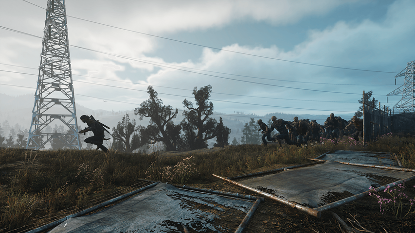 Days Gone – image 9