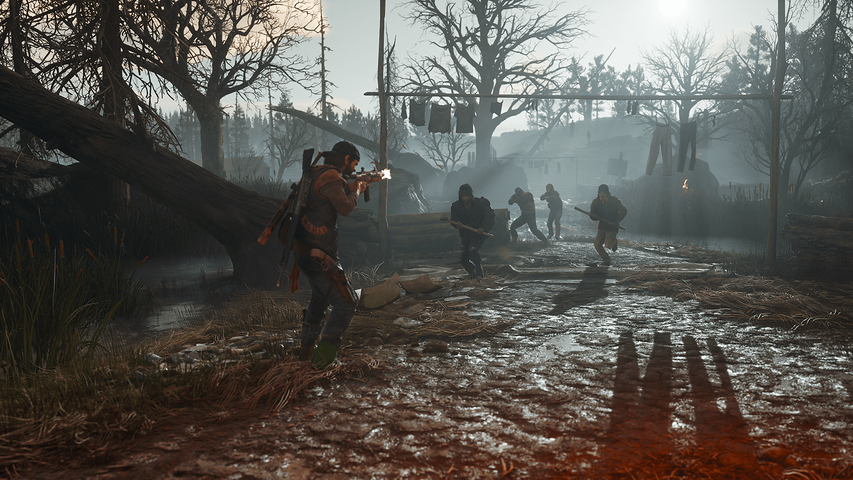Days Gone – image 10