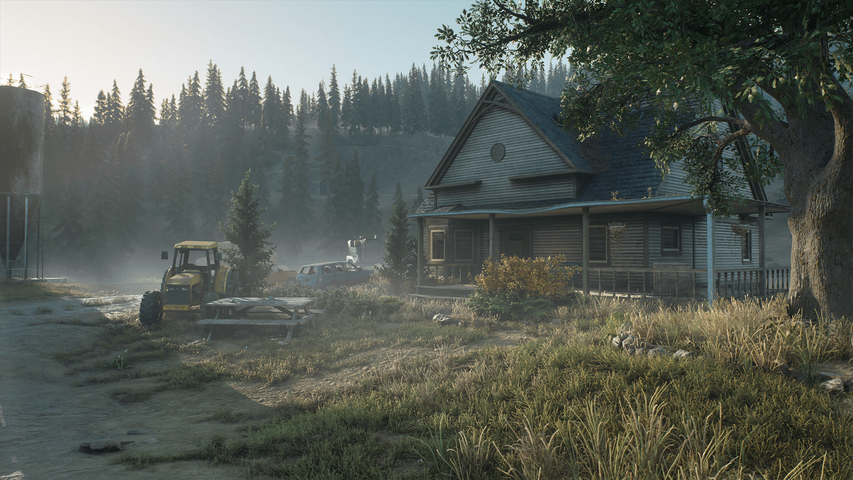 Days Gone – image 11