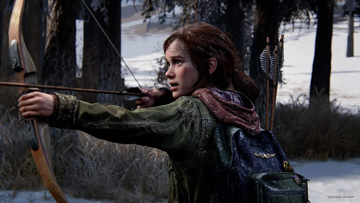 The Last of Us Part 1 - PS5 – image 8