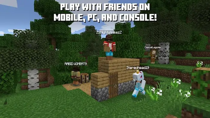 Minecraft (Nintendo Switch) - Used – image 6