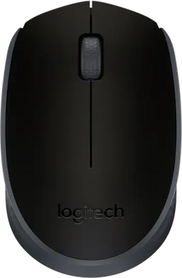 Logitech Wireless Gaming Mouse M171 - Black