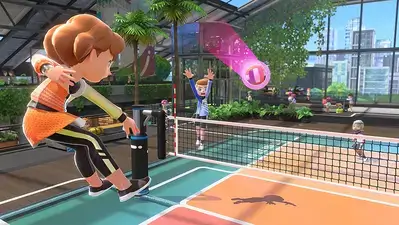 Nintendo Switch Sports - Used