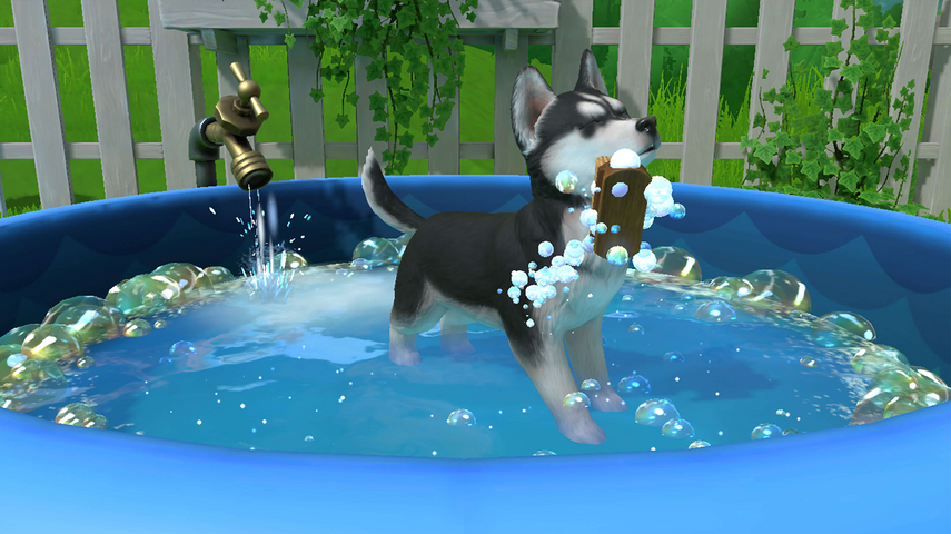 Little Friends: Puppy Island – image 5