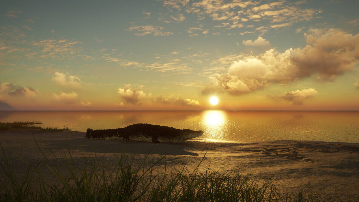 theHunter: Call of the Wild™ - Emerald Coast Australia  للبيع في مصر من خلال Games2Egypt