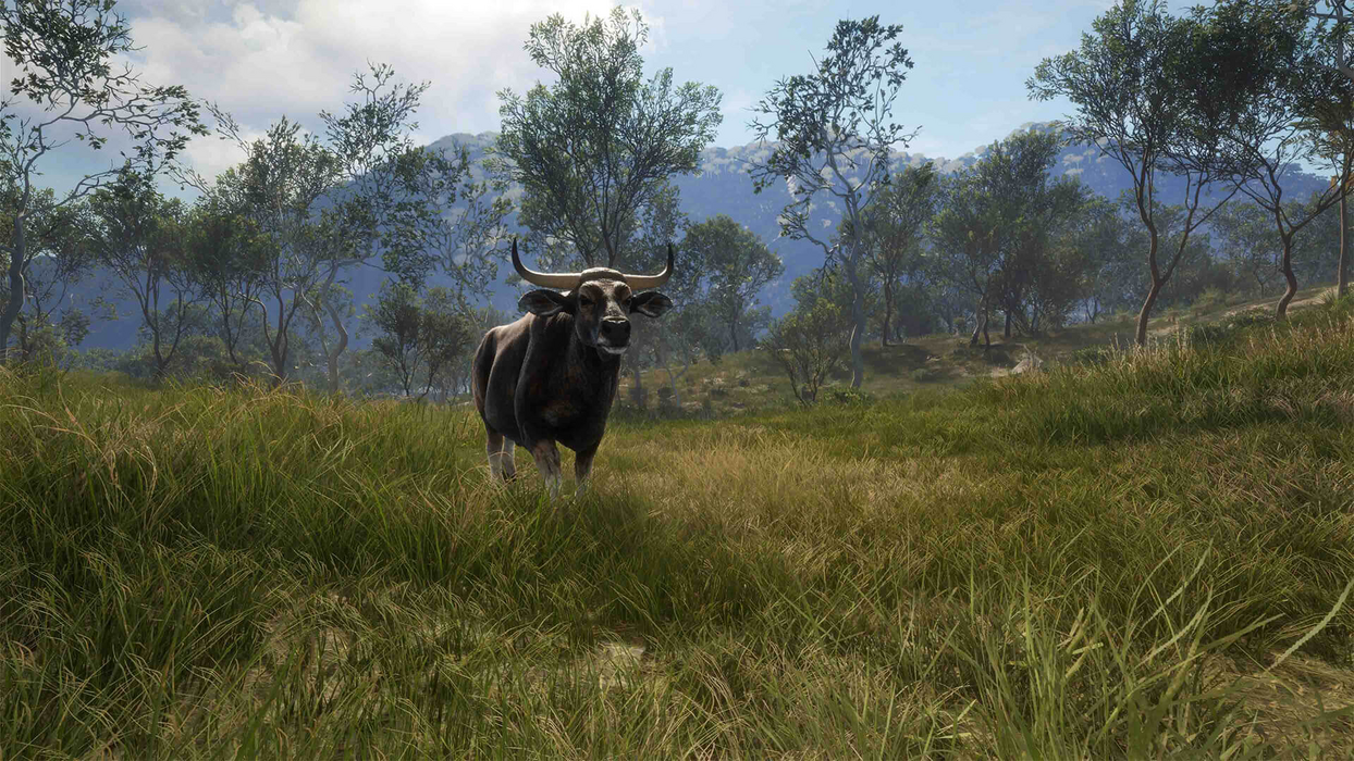 theHunter: Call of the Wild™ - Emerald Coast Australia  للبيع في مصر من خلال Games2Egypt