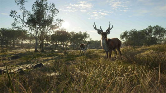 theHunter: Call of the Wild™ - Emerald Coast Australia  للبيع في مصر من خلال Games2Egypt