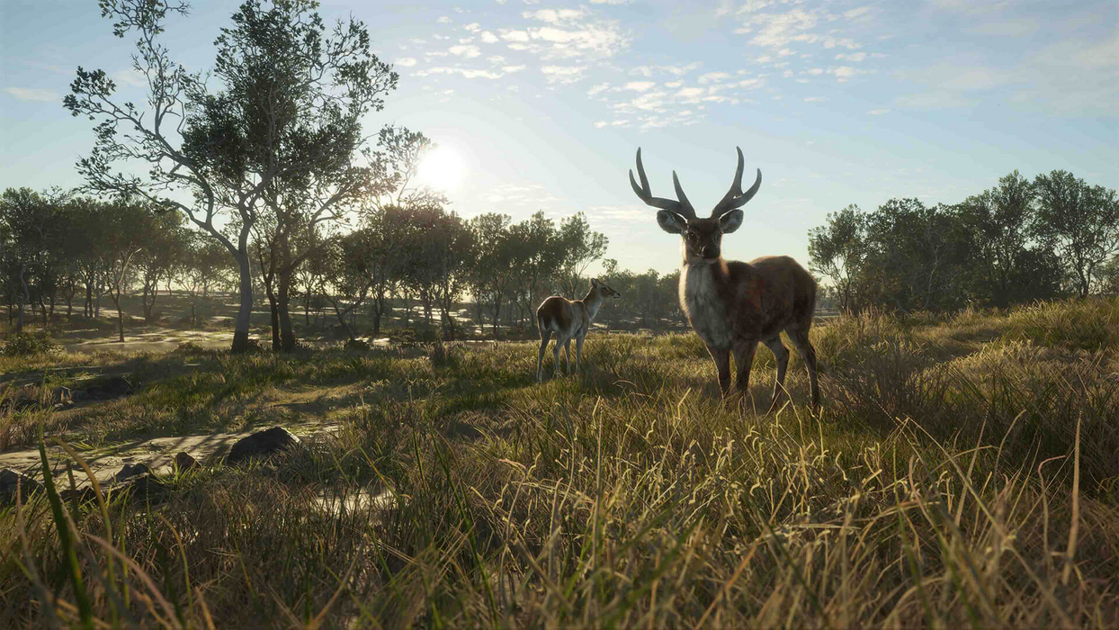 theHunter: Call of the Wild™ - Emerald Coast Australia  للبيع في مصر من خلال Games2Egypt
