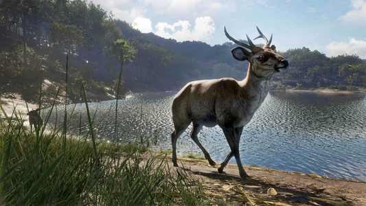 theHunter: Call of the Wild™ - Emerald Coast Australia  للبيع في مصر من خلال Games2Egypt