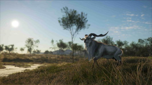 theHunter: Call of the Wild™ - Emerald Coast Australia  للبيع في مصر من خلال Games2Egypt