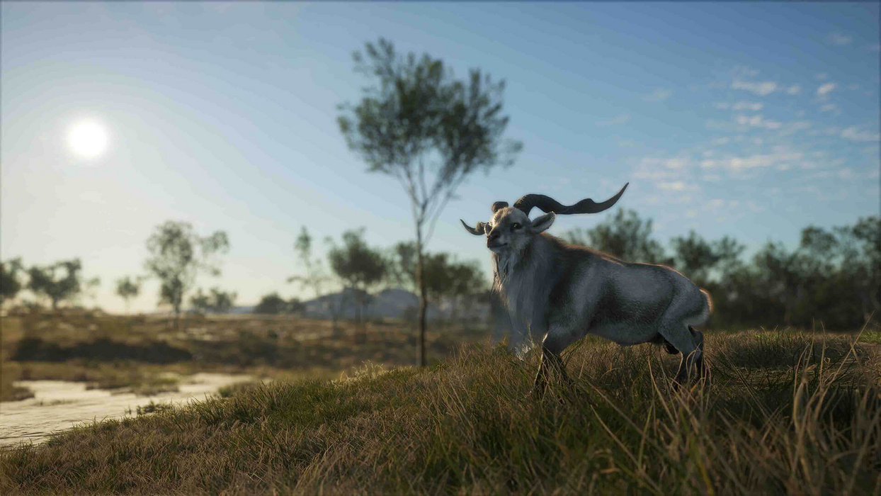 theHunter: Call of the Wild™ - Emerald Coast Australia  للبيع في مصر من خلال Games2Egypt