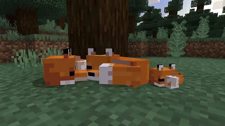 Minecraft - PS4 - Used – image 3