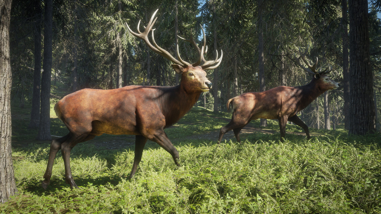 theHunter: Call of the Wild™  للبيع في مصر من خلال Games2Egypt