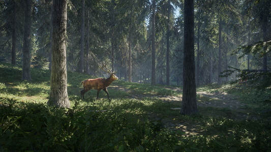 theHunter: Call of the Wild™  للبيع في مصر من خلال Games2Egypt