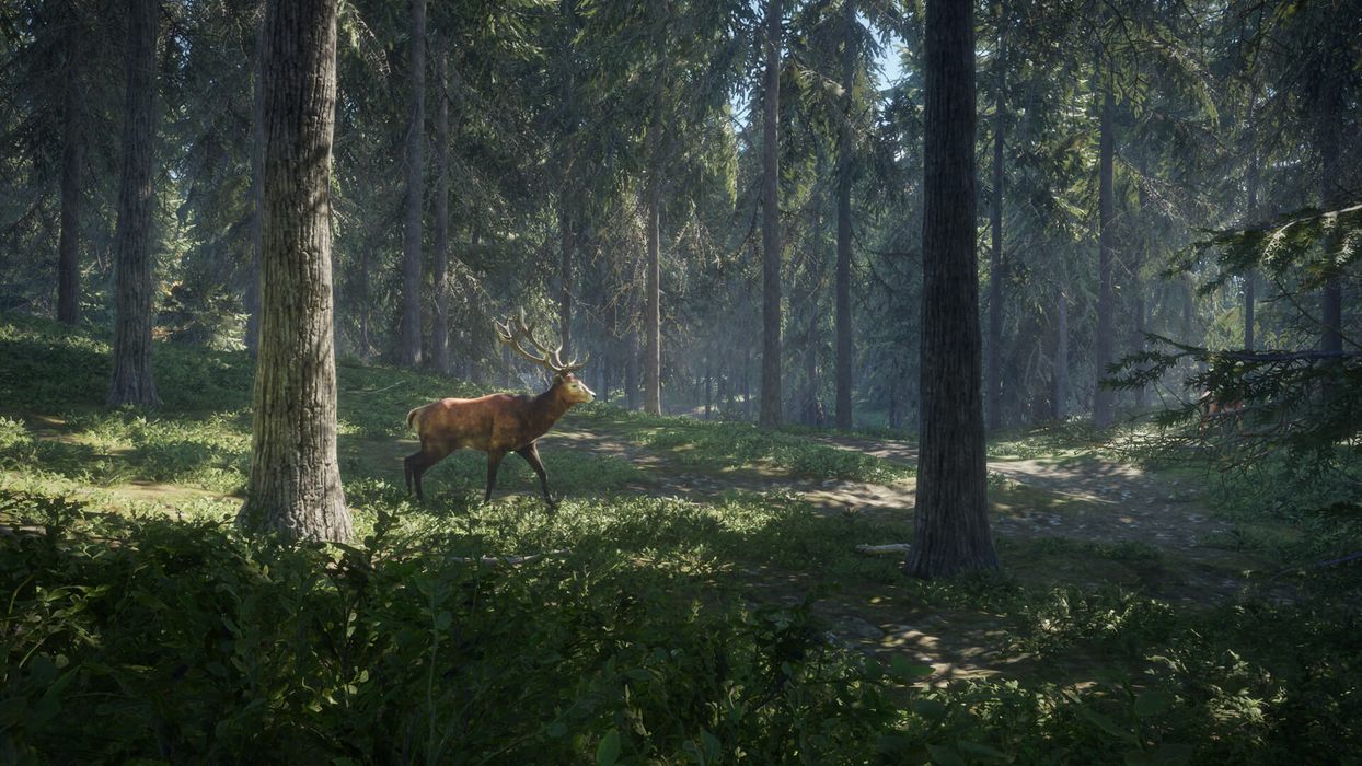 theHunter: Call of the Wild™  للبيع في مصر من خلال Games2Egypt