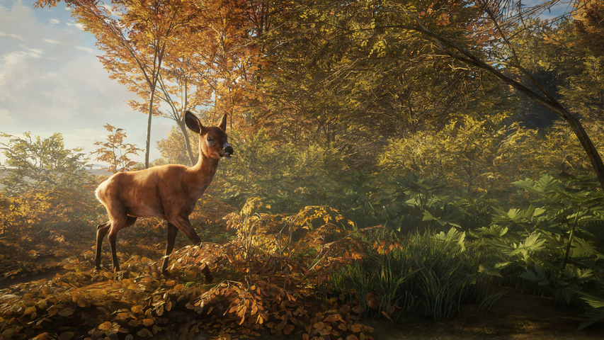 theHunter: Call of the Wild™ – image 10