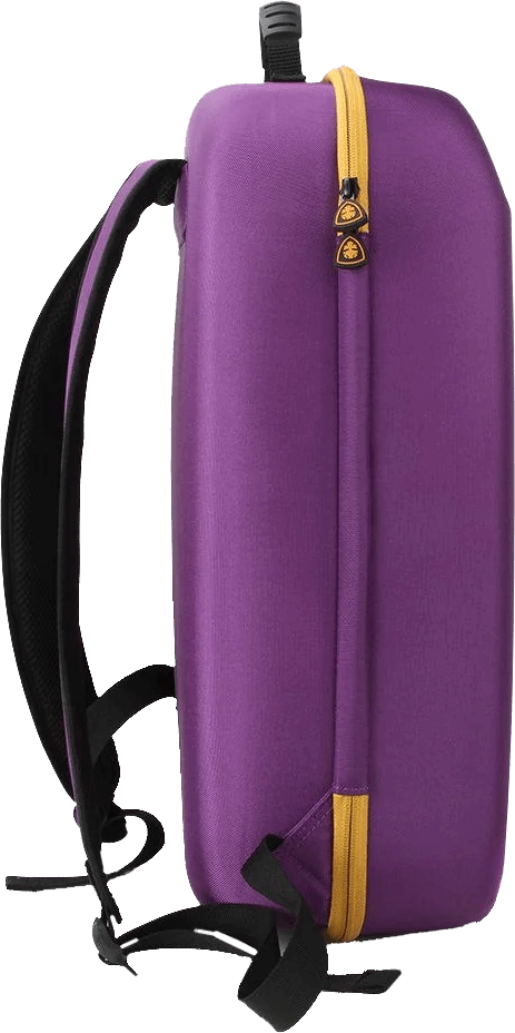 Deadskull BackPack Bag Case for PS5 Console - Purple  for sale in Egypt from Games2Egypt