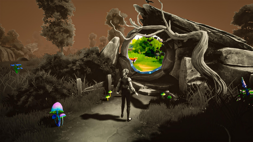 The Witch of Fern Island – image 2