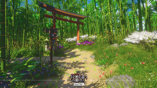 RONIN: Two Souls CHAPTER 1  for sale in Egypt from Games2Egypt