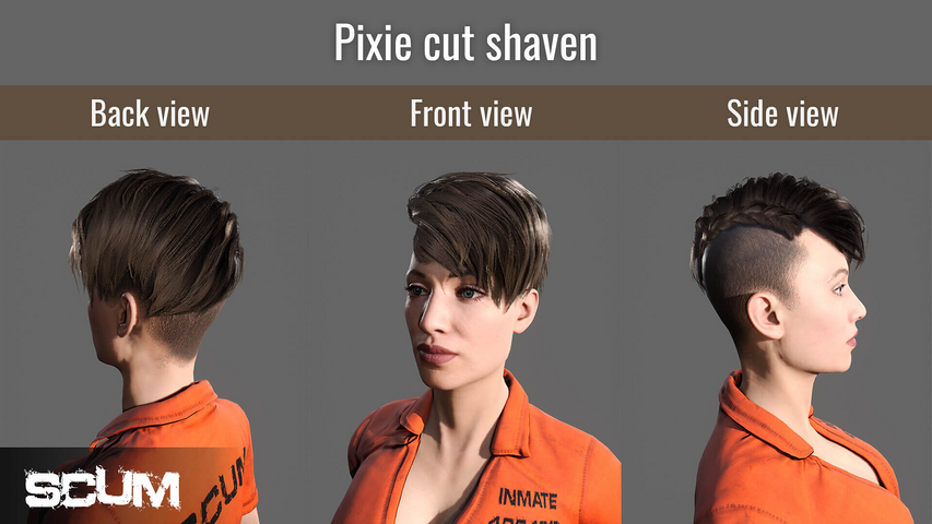 SCUM Female Hair Pack – image 11