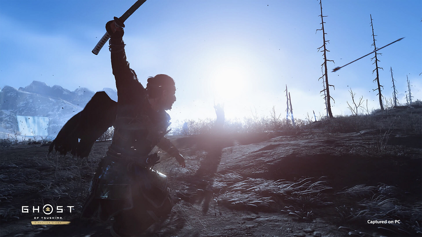 Ghost of Tsushima DIRECTOR'S CUT - Pre Order – image 4