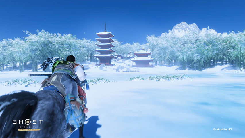 Ghost of Tsushima DIRECTOR'S CUT - Pre Order – image 6